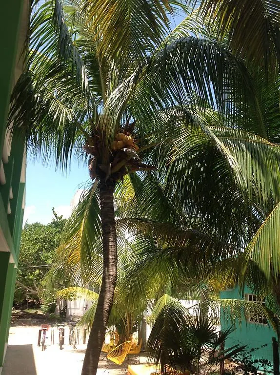 Aloha Studios Isla Holbox